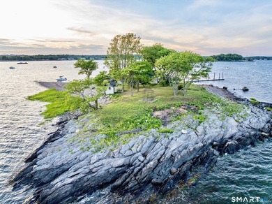 Opportunities like this are rare. Calf Pasture Island is one of - photo 4