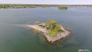 Opportunities like this are rare. Calf Pasture Island is one of - photo 5