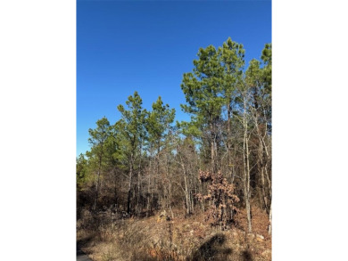 Broken Bow Lake Lot For Sale in Broken Bow Oklahoma