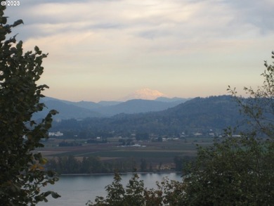 22 beautiful large river and mountain view lots in Columbia City - photo 13