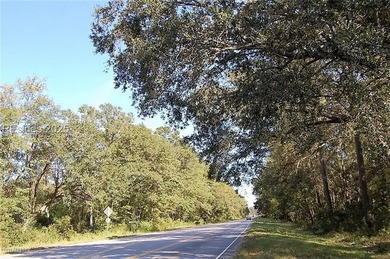 Just over an acre located on Laurel Bay Rd, just minutes to MCAS - photo 1