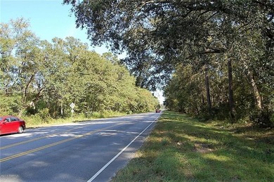 Just over an acre located on Laurel Bay Rd, just minutes to MCAS - photo 2