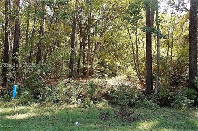 Just over an acre located on Laurel Bay Rd, just minutes to MCAS - photo 4