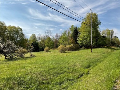 Lake Acreage Off Market in Monticello, New York