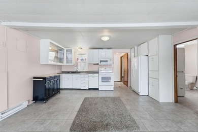 Affordable lakefront living on beautiful Golden Lake! This clean - photo 11