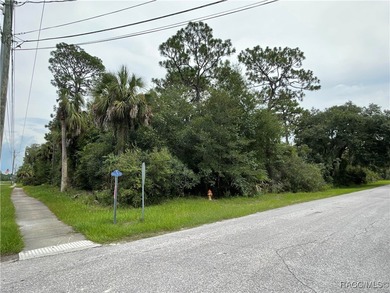 Withlacoochee River Lot For Sale in Inglis Florida