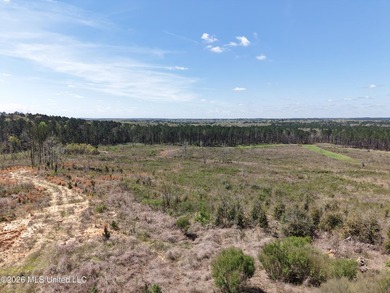 This 284.9+/- acre tract in Franklin County, Mississippi offers - photo 11