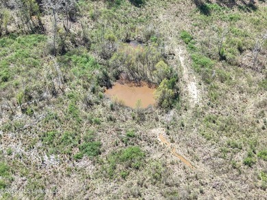 This 284.9+/- acre tract in Franklin County, Mississippi offers - photo 12
