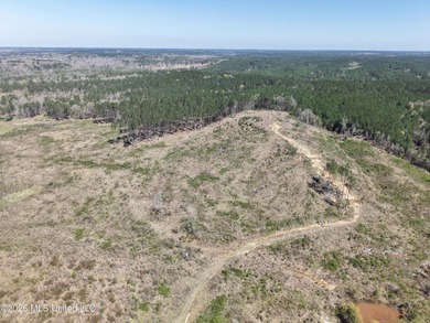 This 284.9+/- acre tract in Franklin County, Mississippi offers - photo 13