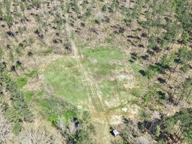 This 284.9+/- acre tract in Franklin County, Mississippi offers - photo 14