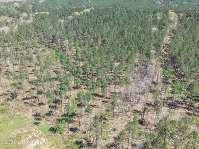 This 284.9+/- acre tract in Franklin County, Mississippi offers - photo 15