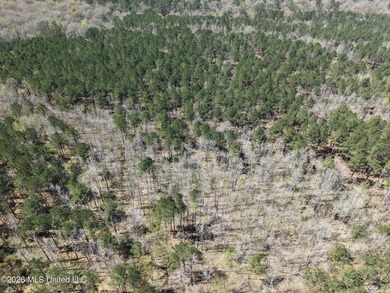 This 284.9+/- acre tract in Franklin County, Mississippi offers - photo 18