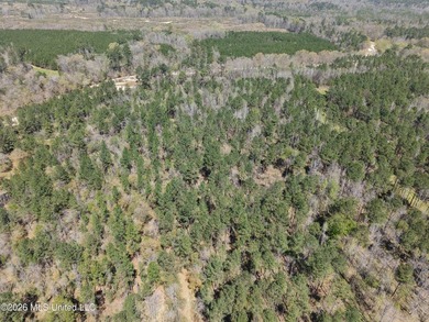 This 284.9+/- acre tract in Franklin County, Mississippi offers - photo 19