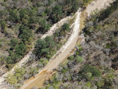 This 284.9+/- acre tract in Franklin County, Mississippi offers - photo 20