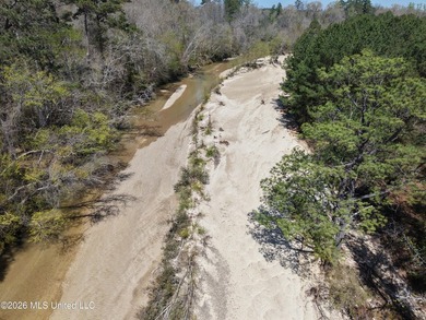 This 284.9+/- acre tract in Franklin County, Mississippi offers - photo 21