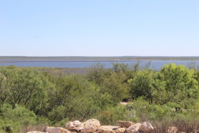 Lake O.H. Ivie Acreage For Sale in Millersview Texas