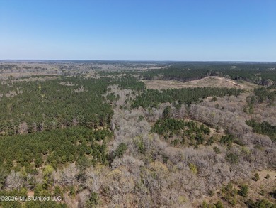 This 284.9+/- acre tract in Franklin County, Mississippi offers - photo 24