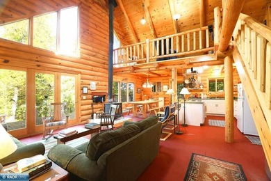 Secluded Log Home Retreat, Lake Vermilion, Set On Apx 85 Acre - photo 4
