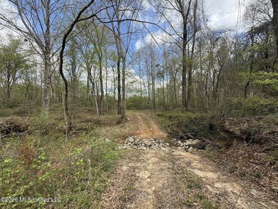 This 284.9+/- acre tract in Franklin County, Mississippi offers - photo 25