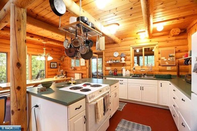 Secluded Log Home Retreat, Lake Vermilion, Set On Apx 85 Acre - photo 5