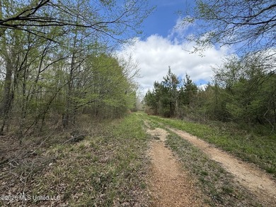 This 284.9+/- acre tract in Franklin County, Mississippi offers - photo 26