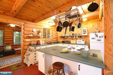 Secluded Log Home Retreat, Lake Vermilion, Set On Apx 85 Acre - photo 6