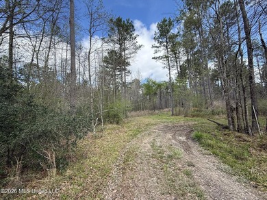 This 284.9+/- acre tract in Franklin County, Mississippi offers - photo 27