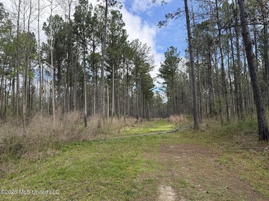 This 284.9+/- acre tract in Franklin County, Mississippi offers - photo 28
