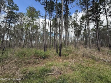This 284.9+/- acre tract in Franklin County, Mississippi offers - photo 29