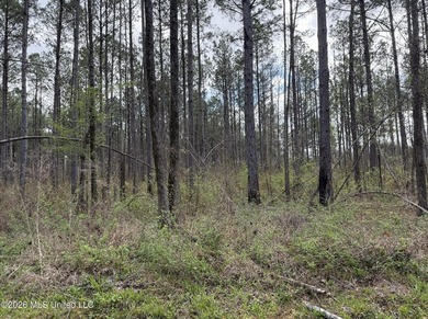 This 284.9+/- acre tract in Franklin County, Mississippi offers - photo 30