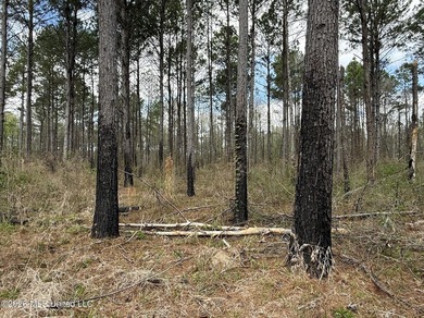 This 284.9+/- acre tract in Franklin County, Mississippi offers - photo 32