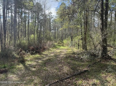 This 284.9+/- acre tract in Franklin County, Mississippi offers - photo 39