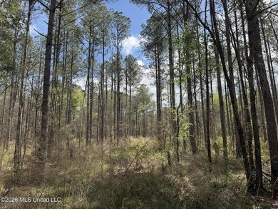 This 284.9+/- acre tract in Franklin County, Mississippi offers - photo 40