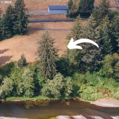Wilson River Lot For Sale in Tillamook Oregon