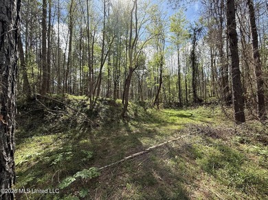 This 284.9+/- acre tract in Franklin County, Mississippi offers - photo 42