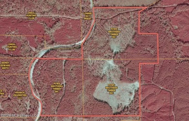 This 284.9+/- acre tract in Franklin County, Mississippi offers - photo 43