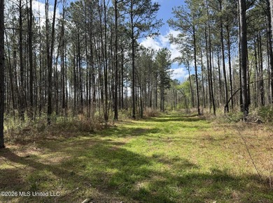 This 284.9+/- acre tract in Franklin County, Mississippi offers - photo 46