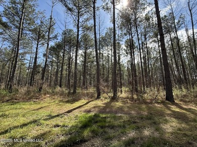 This 284.9+/- acre tract in Franklin County, Mississippi offers - photo 47