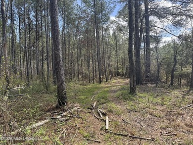 This 284.9+/- acre tract in Franklin County, Mississippi offers - photo 48