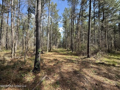 This 284.9+/- acre tract in Franklin County, Mississippi offers - photo 49