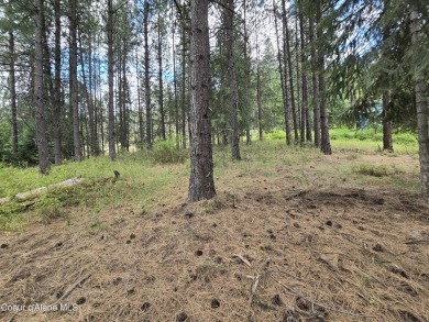 Coeur d Alene Lake Lot For Sale in Saint Maries Idaho