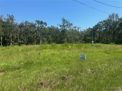 Homosassa River Lot For Sale in Homosassa Florida
