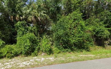 Northport Waterway Lakes and Canals Lot For Sale in North Port Florida
