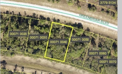 Lehigh Acres Area Lot For Sale in Lehigh Acres Florida