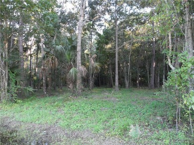 Prime location .02 miles from Hwy 19 in Homosassa. 2 parcels - photo 2