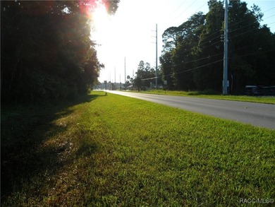 Prime location .02 miles from Hwy 19 in Homosassa. 2 parcels - photo 3