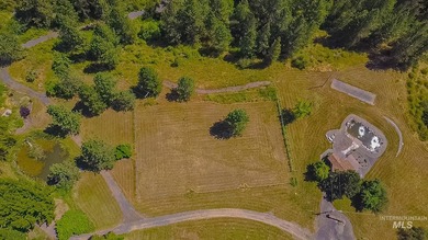 North Idaho Legacy: 90 acres across three separate parcels short - photo 14