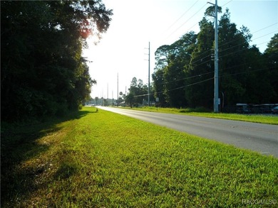 Prime location .02 miles from Hwy 19 in Homosassa. 2 parcels - photo 4
