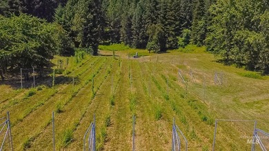 North Idaho Legacy: 90 acres across three separate parcels short - photo 15