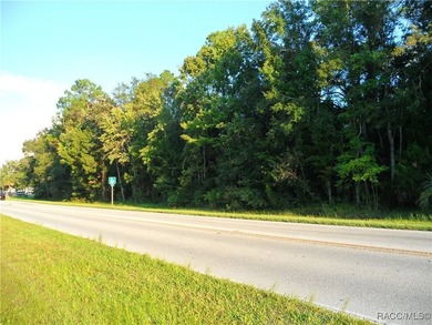 Prime location .02 miles from Hwy 19 in Homosassa. 2 parcels - photo 5